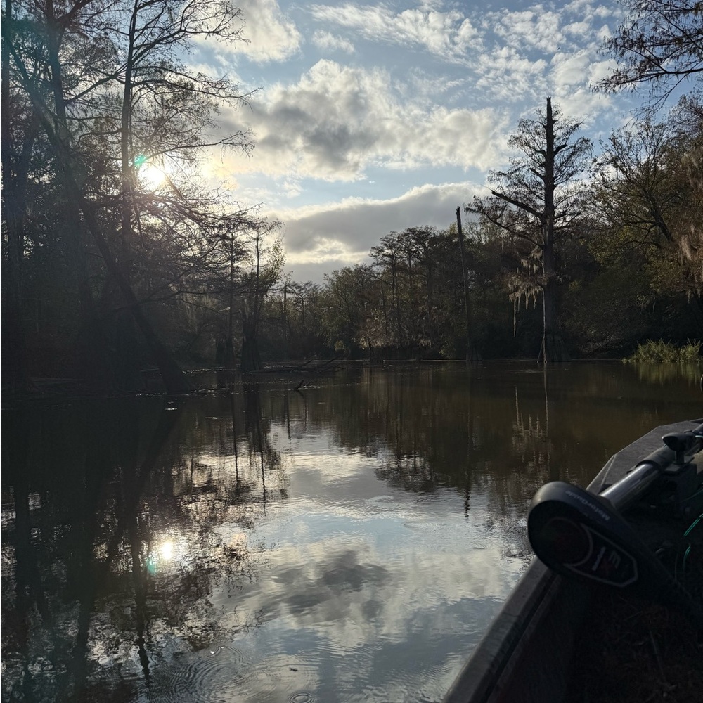 Meet your Posher, Paige